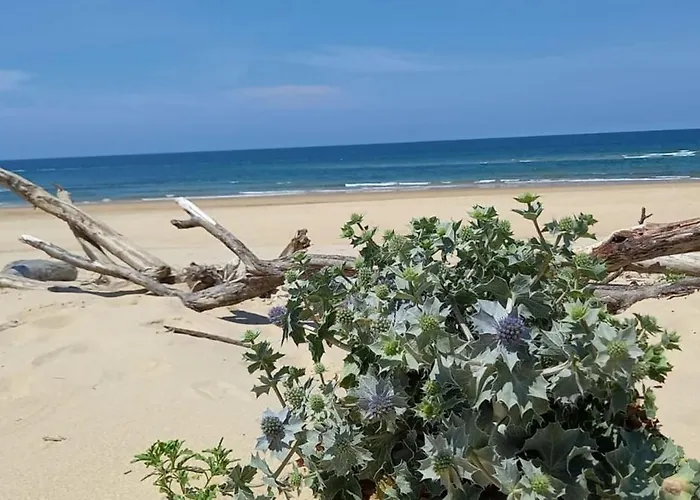 Dom wakacyjny 145 M Near Ocean With Pool And Garden *