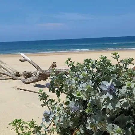 145 M Near Ocean With Pool And Garden Nyaraló Moliets-et-Maa